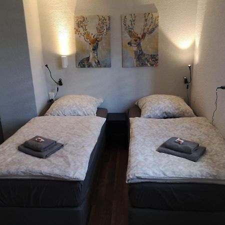 Villa Saidenbachhaus Grosshartmannsdorf Esterno foto