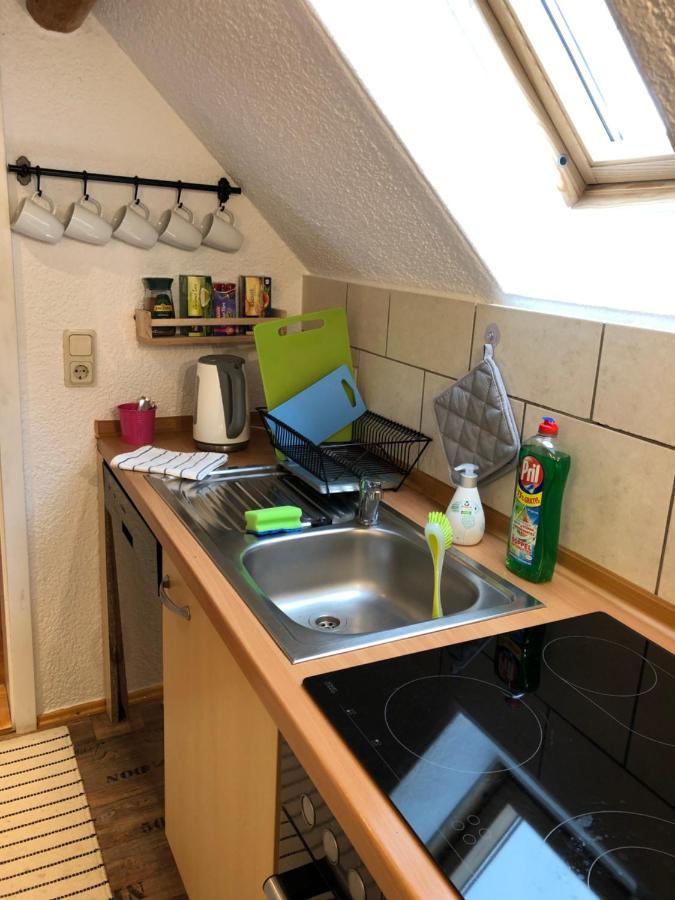 Villa Saidenbachhaus Grosshartmannsdorf Esterno foto