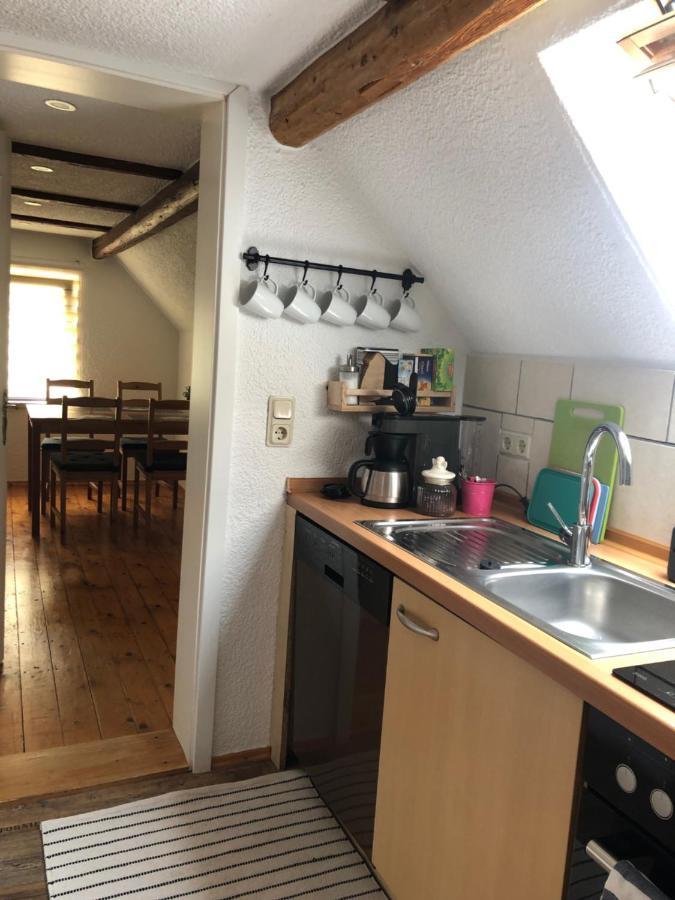 Villa Saidenbachhaus Grosshartmannsdorf Esterno foto